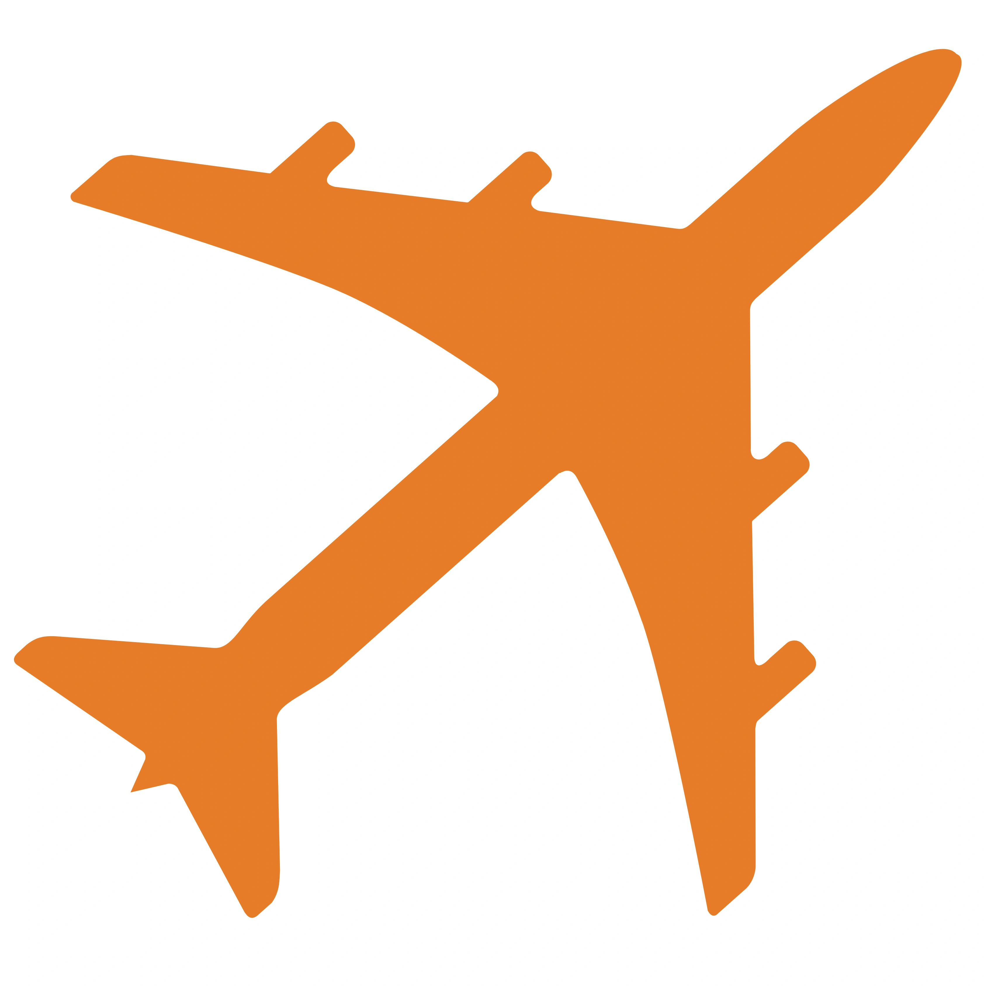 Flight