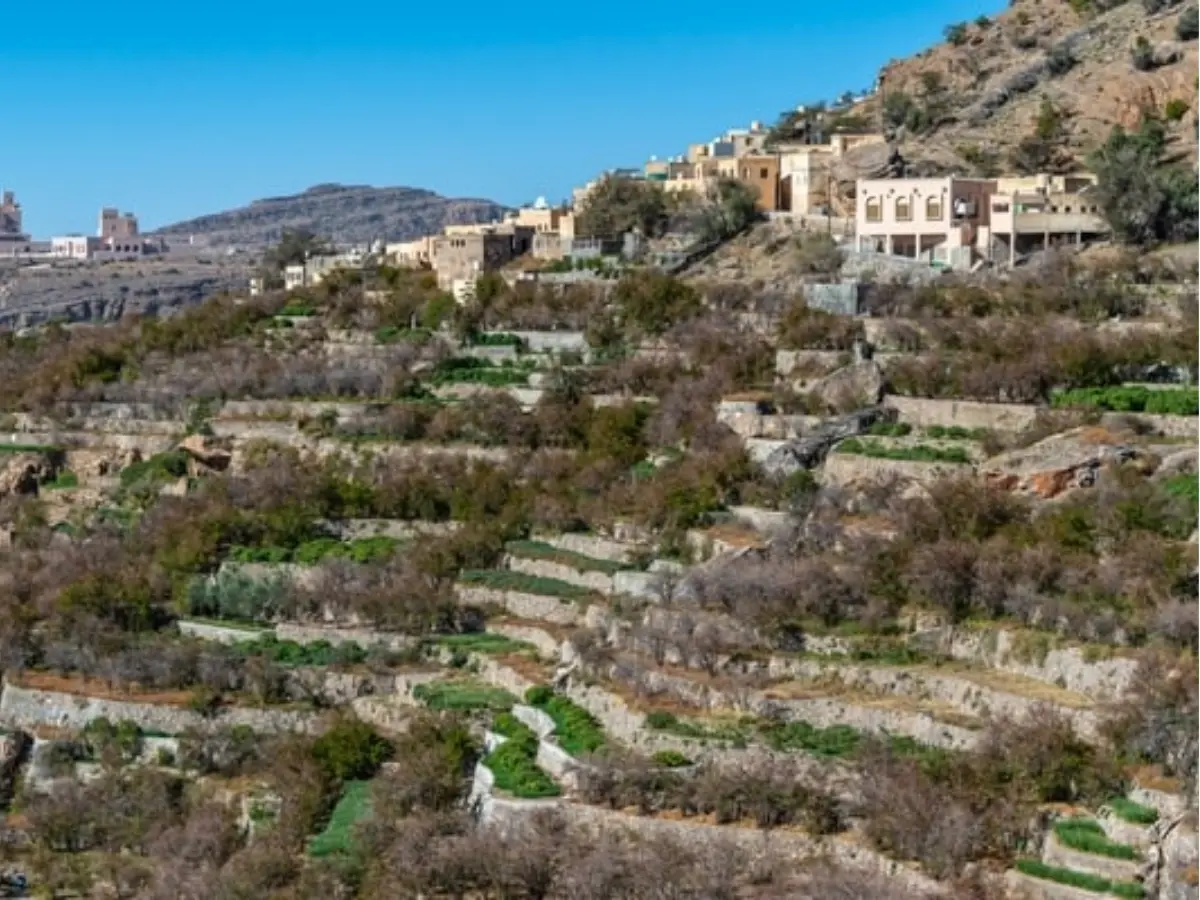 Terraced Village