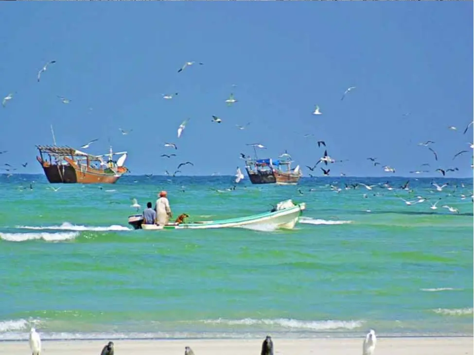 Duqm Beach