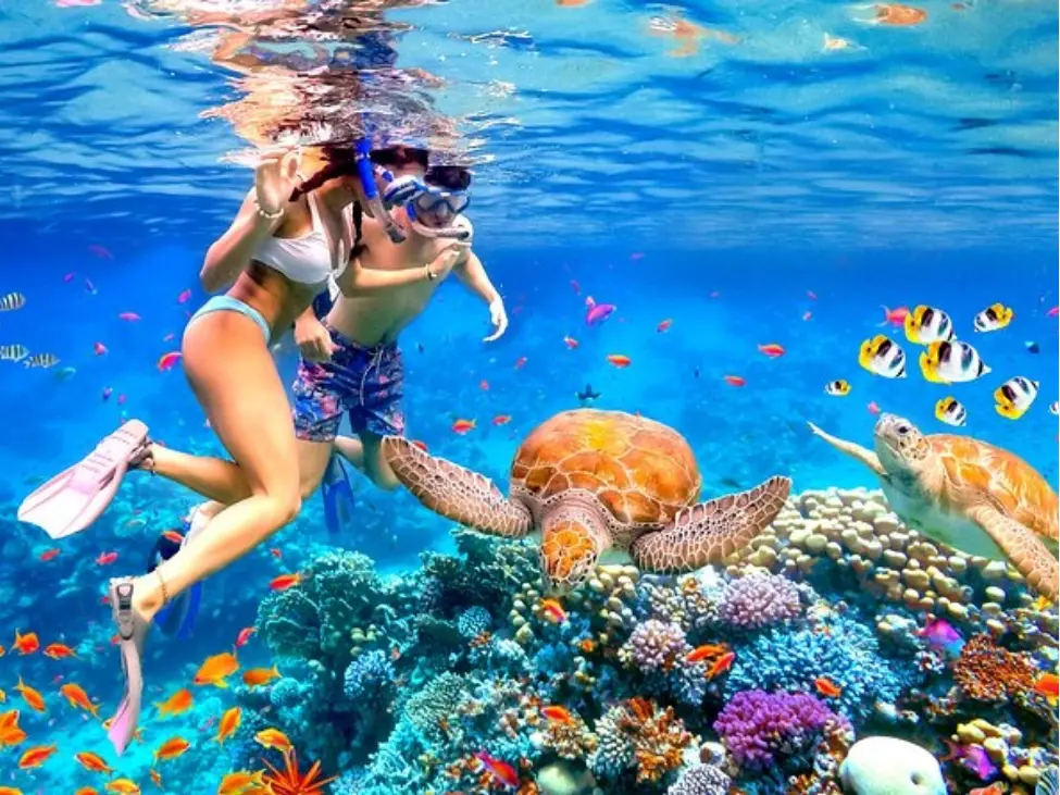 Snorkeling