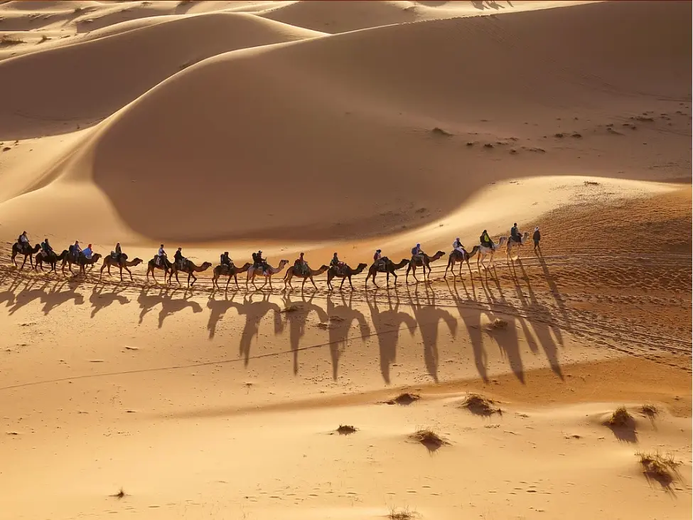 Sand Dunes