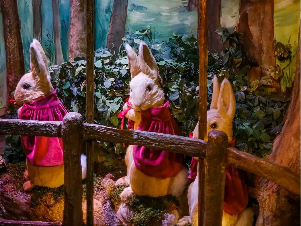 Beatrix Potter Museum