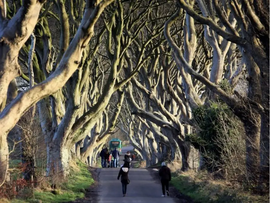 Dark Hedges (Game of Thrones filming spot)