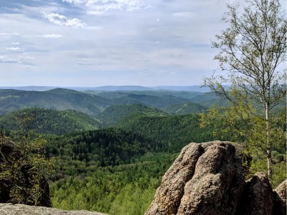 Stolby Nature Reserve