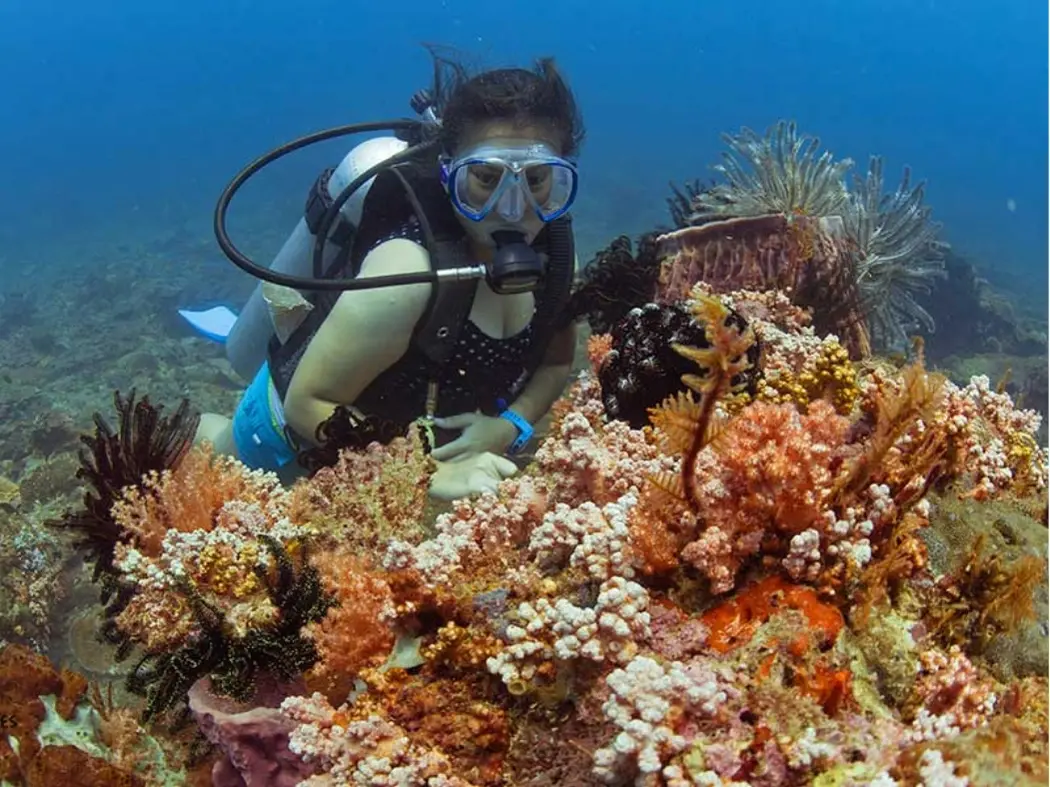 scuba diving off Sai Kung islands