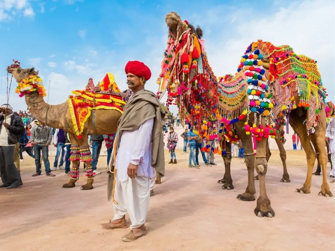 Camel Fair