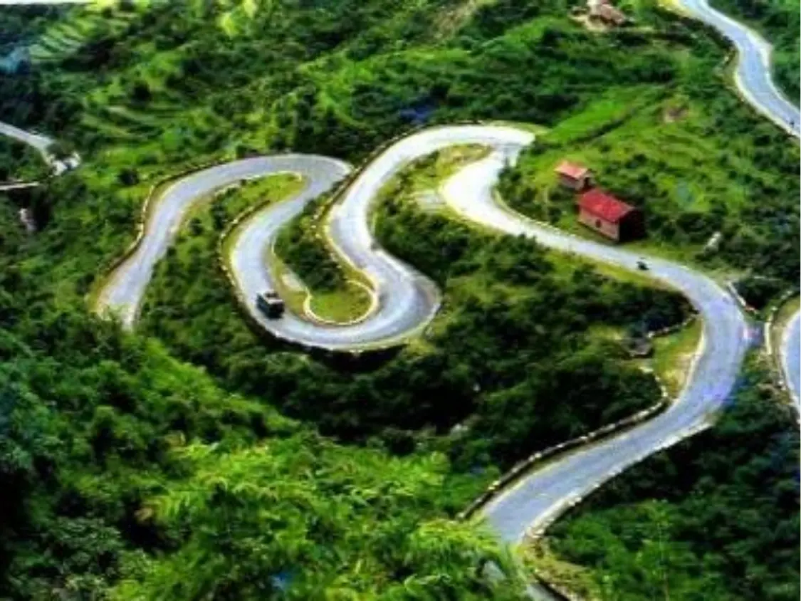 Camel’s Back Road