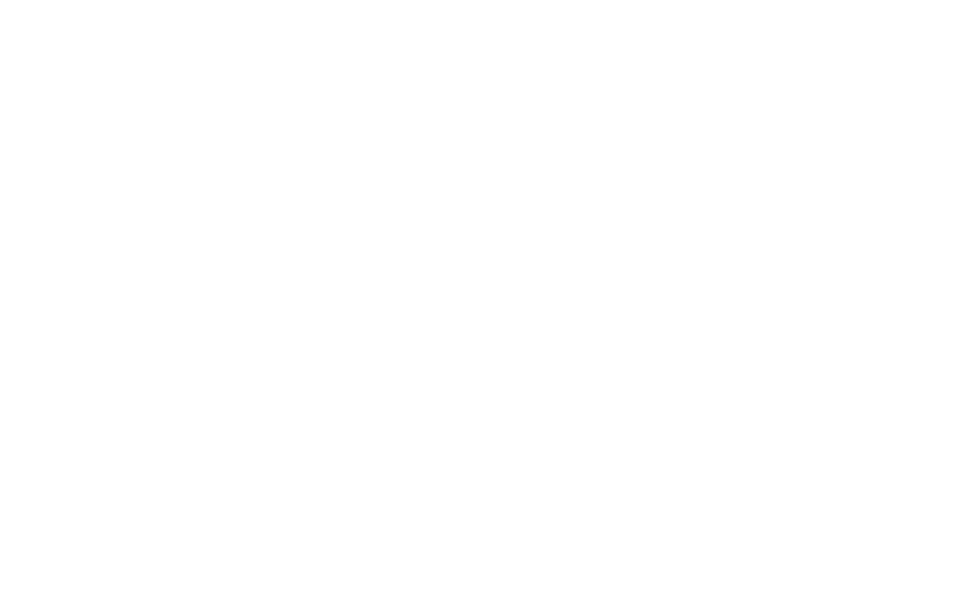 Vision